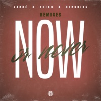 Now Or Never - Remixes - Single - LANNÉ, ZHIKO & Hendriks