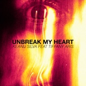 Unbreak My Heart (feat. Tiffany Aris) artwork