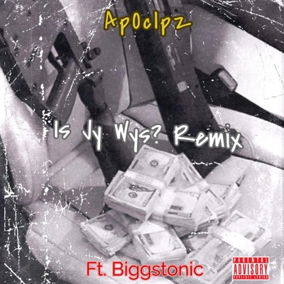 Is Jy Wys? (feat. Biggstonic) - Single