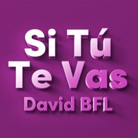 Si Tú Te Vas (Klubb Mix) - Single - David BFL