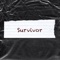 Survivor - Iamlyrist lyrics
