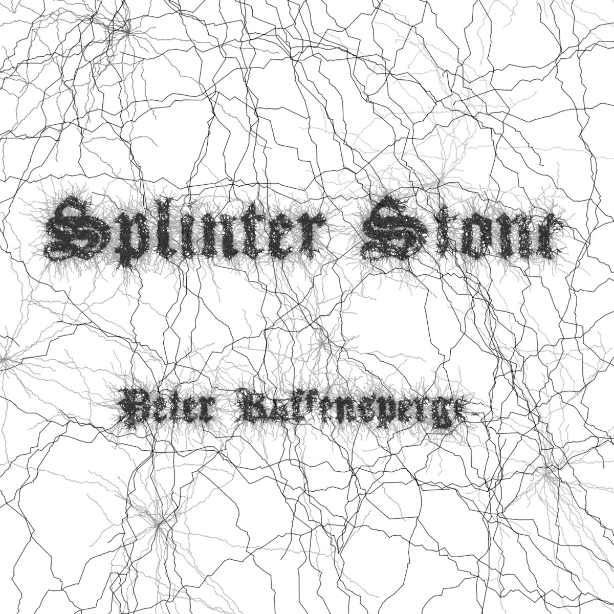 ‎Splinter Stone - Ilam Stoneのアルバム - Apple Music