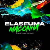 Elas Fuma Maconha (feat. MT NO BEAT) - Single - MC MN & Mc Lukinhas JH