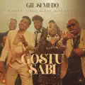 Gostu sabi