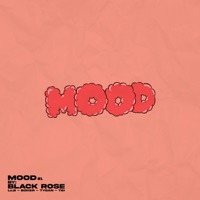 Mood (feat. Boker & Lil'b) - EP - Black Rose