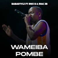 Wameiba Pombe (feat. Mez B & Mac 2B) - Single - Babastylz