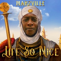 Life so Nice - Single - Marzville
