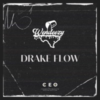 Drake Flow - Single - Wendeezy