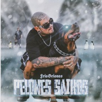 Pelones Saikos - Single - Frio Briones