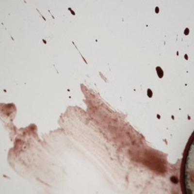 KISSITOFFME - Single