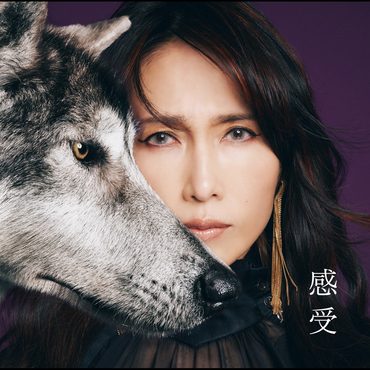 感受 -Shizuka Kudo 35th Anniversary self-cover album - 工藤