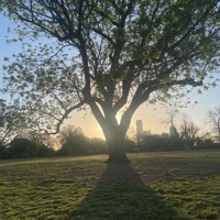 Cognize - Single - Tiegur