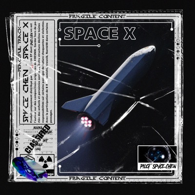 Space X
