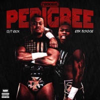 Pedigree (feat. EBK Bckdoe & 127 Rick) - Single - TBoogie
