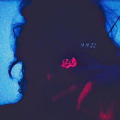Gibberish (Interlude) - Single