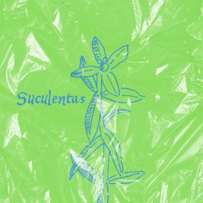 Suculentas