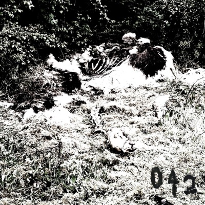 PIT of the IGNORED (feat. LORD DISTORTION) - Single