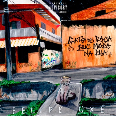 Gato de Raça Que Mora na Rua