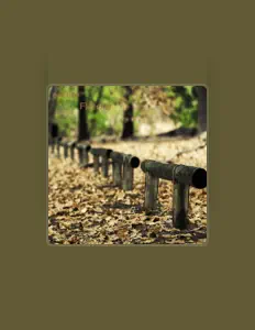 Ouve Fletcher, vê vídeos de música, lê a biografia, vê as datas da digressão e muito mais!