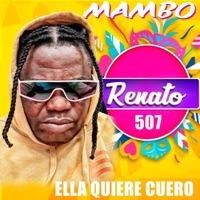 Ella quiere cuero - Single - Renato 507