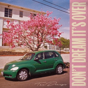 Don't Dream It's Over - Single