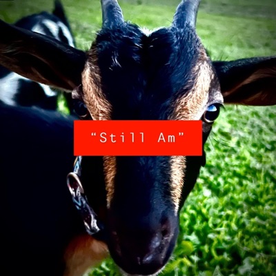Still Am - Single