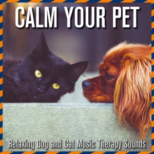 Calm Your Pet: Relaxing Dog and Cat Music Therapy Sounds