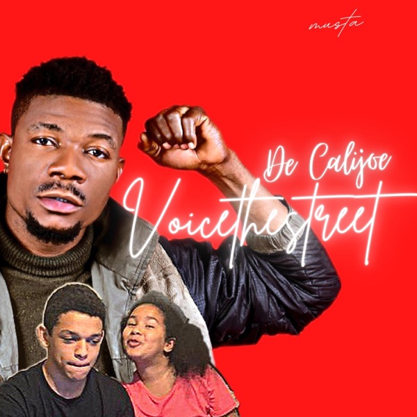 Voiceinthestreet