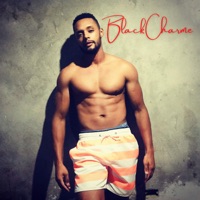 Ela É o Destaque (feat. Kold Original) - Single - Black Charme