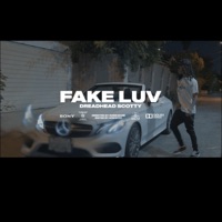 Fake Luv - Single - DreadHead Scotty