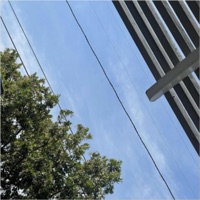 Synthetic Garden - Single - Iggy Madison