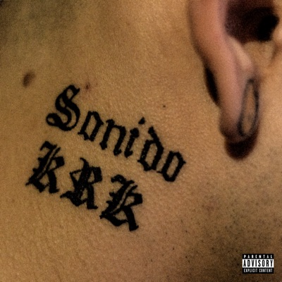 Sonido Krk (feat. Armonico & guñi guñi) - Single