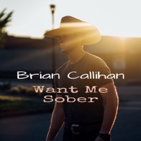 Want Me Sober - Single - Brian Callihan