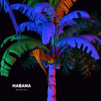 Habana - Single - Bianca Mui