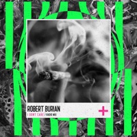 I Don't Care - Single - Robert Burian & Alibabi