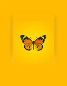 聆聽 Orkun Akcil、觀看音樂影片、閱讀小傳、查看巡演日期等！