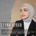 ayhan sevdali