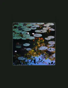 Mariusを聴いたり、ミュージックビデオを鑑賞したり、経歴やツアー日程などを確認したりしましょう！