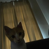 I Dont Need Anything if We Not in Love - Single - Jadedloner