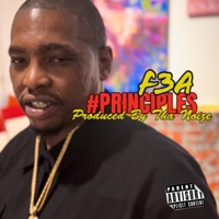 #Principles - Single - F3a