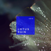 Lotus Rain - Adio