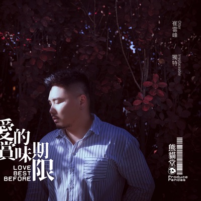 Irreplaceable - Single