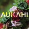 Aloha Io No (Cover) artwork
