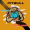 Pitbull (feat. malapauta) - Cristian Jiurachi lyrics