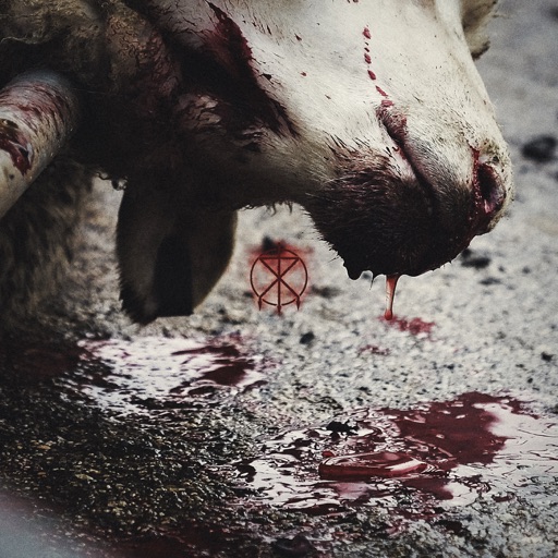 Album artwork