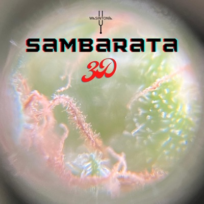 Sambarata (feat. 3D) - Single
