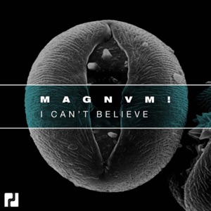 I Can't Believe - Single