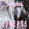 Pigeons - Paddywak lyrics