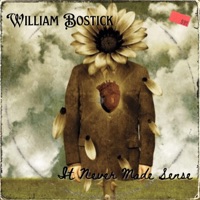 It Never Made Sense - William Bostick
