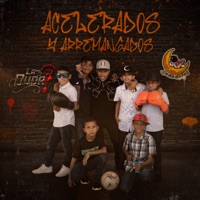 Acelerados y Arremangados - Single - La Duda & Soñadores